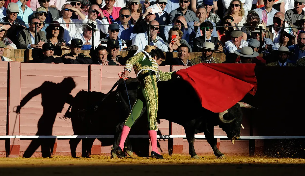 Matador Spanyol, Miguel Angel Perera saat adu banteng di Maestranza, Sevilla pada tanggal 8 April 2016. (AFP PHOTO / CRISTINA QUICLER)