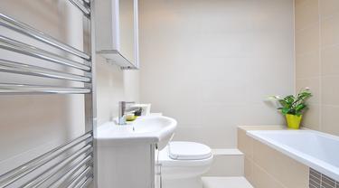 Tanaman hias kamar mandi (sumber: Pixabay)