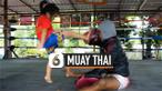 vertical muay thai