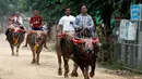 Sejumlah peserta menunggangi kerbau ketika mengikuti balapan dalam Festival Pchum Ben di provinsi Kandal, Kamboja, Rabu (20/9). Festival Pchum Ben termasuk festival keagamaan yang diadakan selama 15 hari. (AP Photo/Heng Sinith)