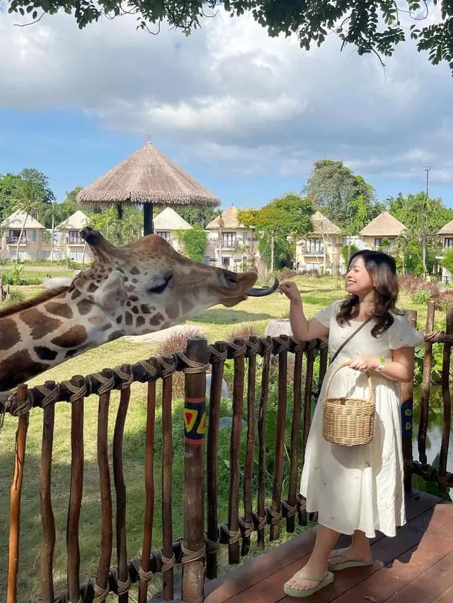 Bali Safari and Marine Park