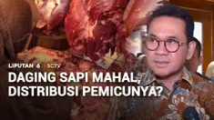 Mahalnya harga daging sapi berdampak pada sektor kuliner. Porsi daging dalam semangkuk soto betawi, misalnya, harus dikurangi supaya pelanggan tidak lari. Menteri Perdagangan angkat bicara soal penyebab mahalnya harga daging sapi.