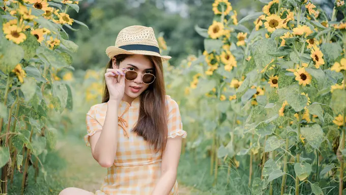 ladang bunga matahari