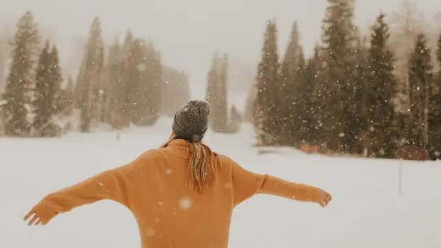 Packing Musim Dingin