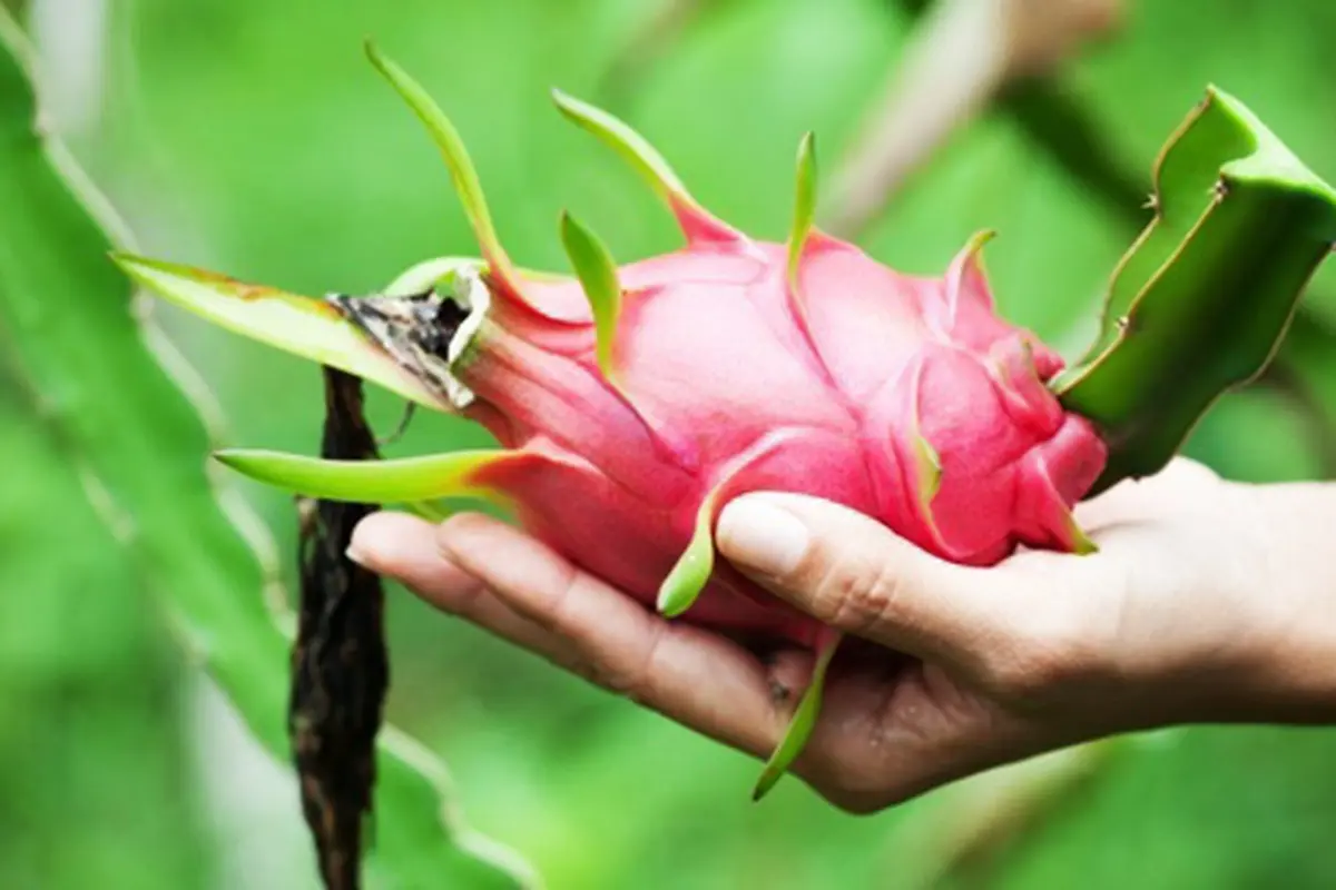 Foto : Copyright Thinkstockphotos.com