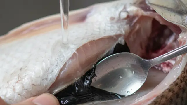 Tips Agar Ikan Patin Tidak Terasa Pahit