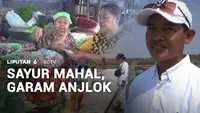 Sayur Mahal, Garam Anjlok