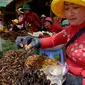 Dengan minyak goreng panas, tarantula yang sudah dibersihkan ini digoreng hingga garing dan diberi bawang putih (AFP)