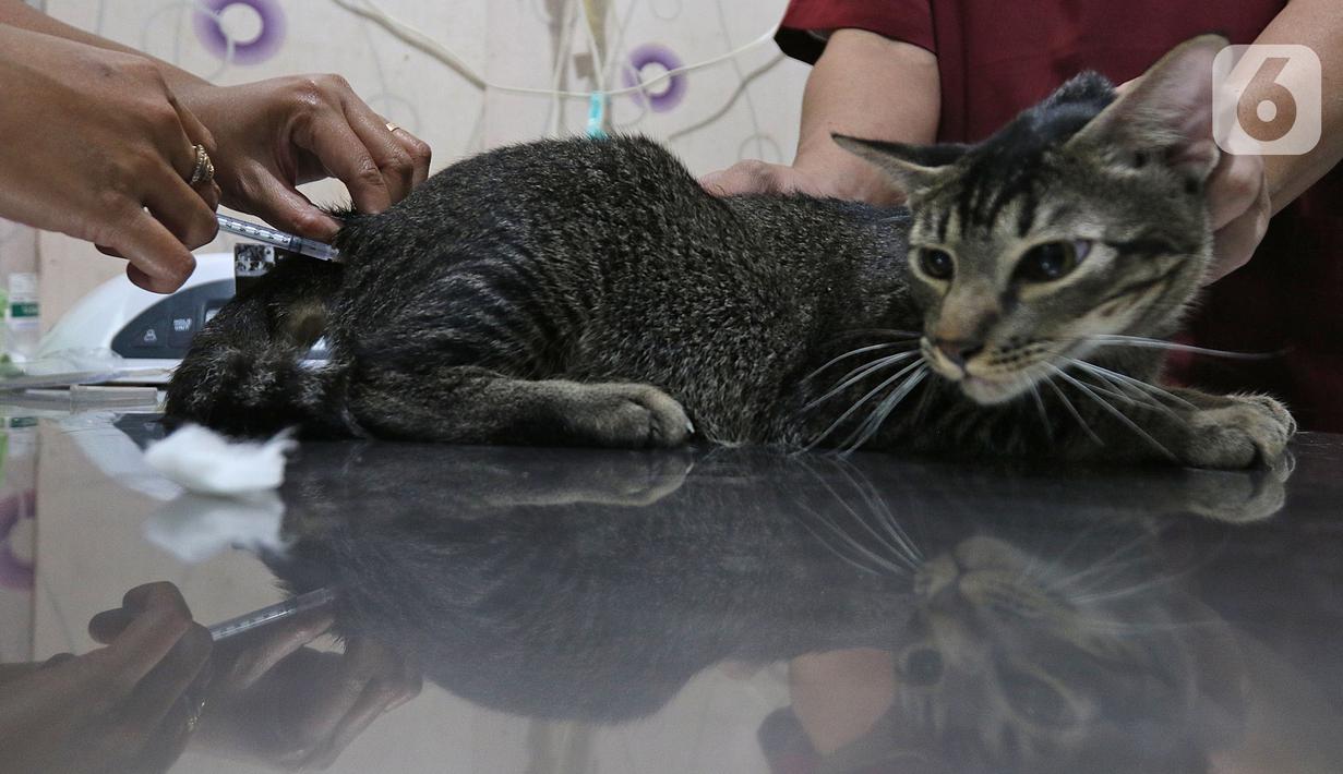 Senarai Klinik Haiwan Kerajaan Kuala Lumpur