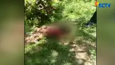 Bocah berusia 3 tahun ini diketahui mulai bertingkah seperti anjing dimulai sejak Januari 2018.