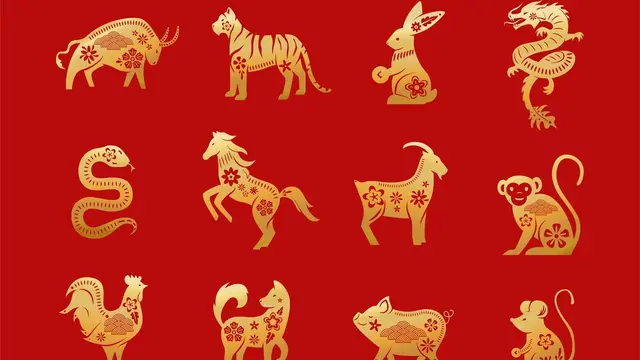 Zodiac Signs
