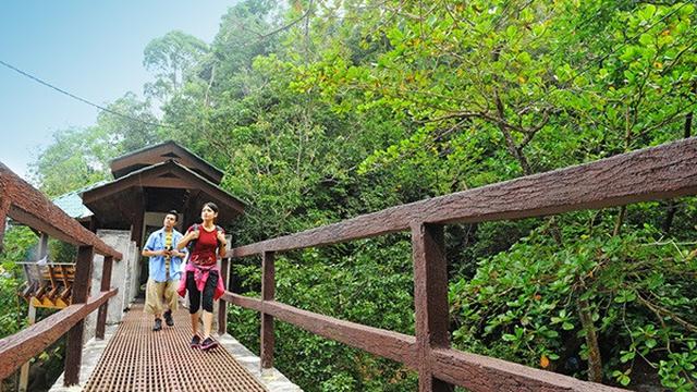 Taman Nasional Penang