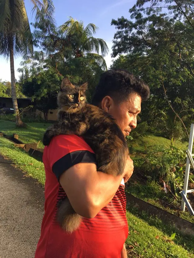7 potret kedekatan ayah dan kucing