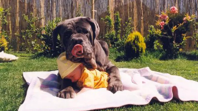 illustration only from theginblog