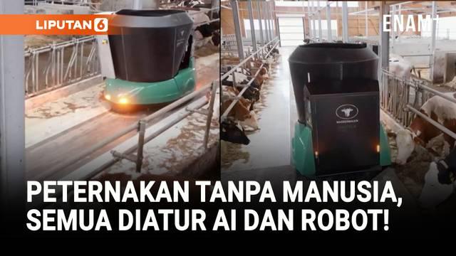 Peternakan ini dioperasikan oleh kecerdasan buatan (AI) yang bisa menakar berapa banyak pakan yang dibutuhkan oleh sapi, serta robot yang bisa membersihkan kandang.
