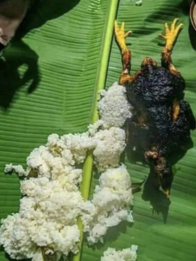 7 Potret Gagal Masak Ayam Ini Bikin Selera Makan Hilang, Ada yang Jadi Abu