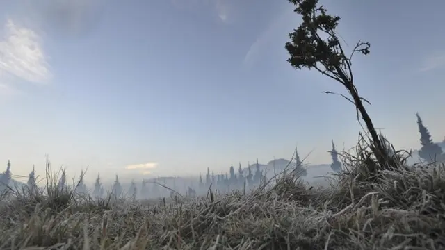 Dinginnya udara Dieng sampai embun berubah jadi es