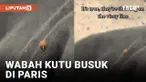 Wabah Kutu Busuk Serang Paris, Turis Pakai Baju Hazmat untuk Lindungi Diri