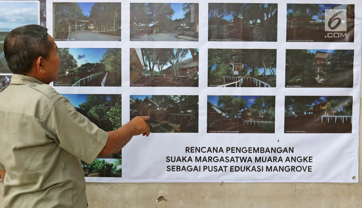 Petugas melihat contoh pembangunan di Suaka Margasatwa Muara Angke, Jakarta, Selasa (17/9/2019). Suaka Margasatwa Muara Angke akan dikembangkan sebagai pusat edukasi mangrove. (Liputan6.com/Herman Zakharia)