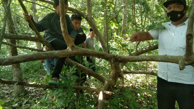 Lokasi kejadian