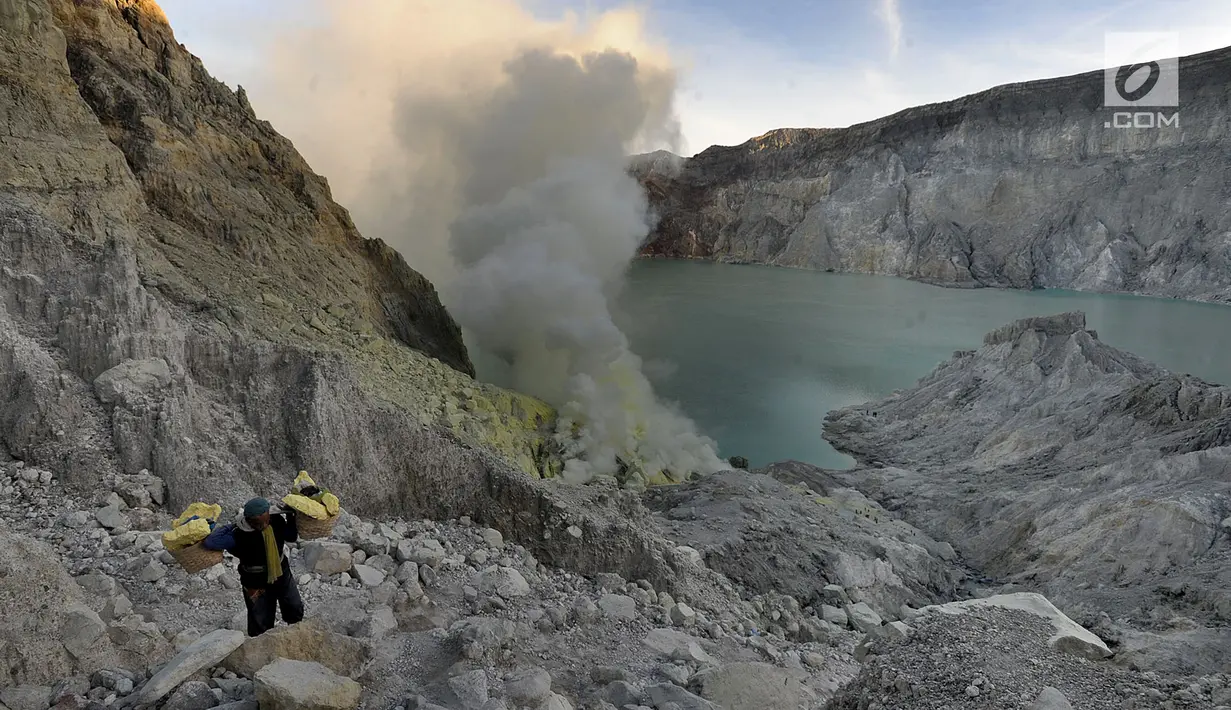 Penambag mengangkut  belerang di Kawah Ijen, Banyuwangi, Jawa Timur Senin (2/7). Para penambang mampu mengambil dan mengangkut belerang setiap harinya sebanyak 150 - 200 kg dengan upah Rp 100/kg. (Merdeka.com/Arie Basuki)