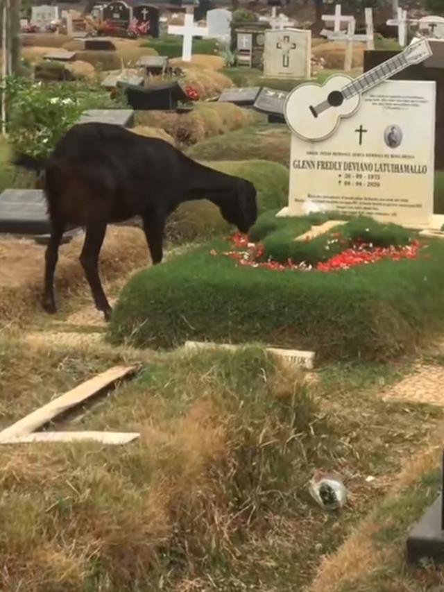 Mutia Ayu Rawat Makam Glenn Fredly