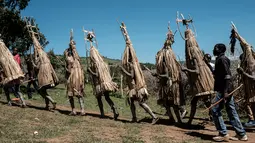 Sejumlah pemuda dari suku Maasai mengenakan kostum melakukan ritual usai disunat di dekat Kilgoris, Kenya (20/12). Usai disunat para pemuda ini tinggal disemak-semak untuk belajar bertahan agar dapat melindungi komunitas mereka. (AFP Photo)