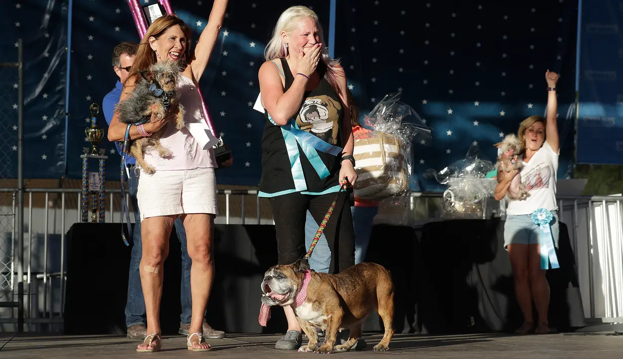 Megan Brainard bersama anjingnya Zsa Zsa (tengah) saat menjadi pemenang Kontes Anjing Terjelek Sedunia di Sonoma-Marin Fair di Petaluma, California (23/6). Kontes ini diikuti oleh puluhan anjing. (AP/Jeff Chiu)