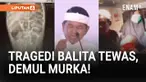 Seorang balita di Kabupaten Sukabumi, Jawa Barat, meninggal dunia dalam kondisi memilukan. Tubuh mungilnya diduga dipenuhi cacing parasit. Kisah tragis ini membuat Gubernur Jawa Barat, Dedi Mulyadi, geram. Dalam momentum peringatan HUT ke-80 Provinsi...