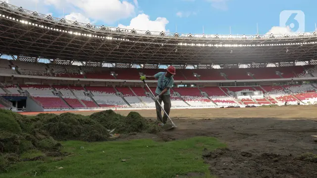 Rumput Lapangan Stadion GBK Dirombak Total