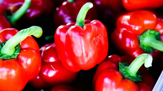 8 Makanan yang Bisa Meningkatkan Imunitas Tubuh selain Susu Beruang