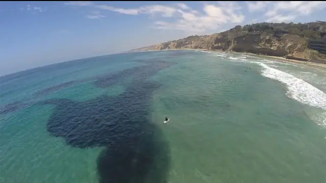 Ini Sumber Penyebab Terjadinya ‘Tumpahan Minyak’ di Pantai