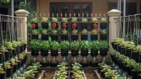 7 Model Kebun Sayur yang Bisa Tumpang Sari tapi Tetap Rapi, Cocok untuk Rumah Kecil