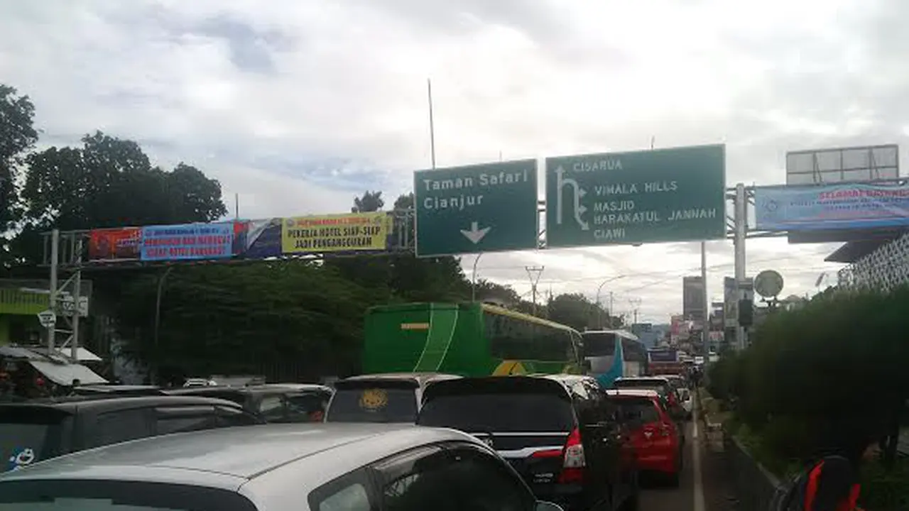 Kawasan Puncak Bogor. (Liputan6.com/Bima Firmansyah)