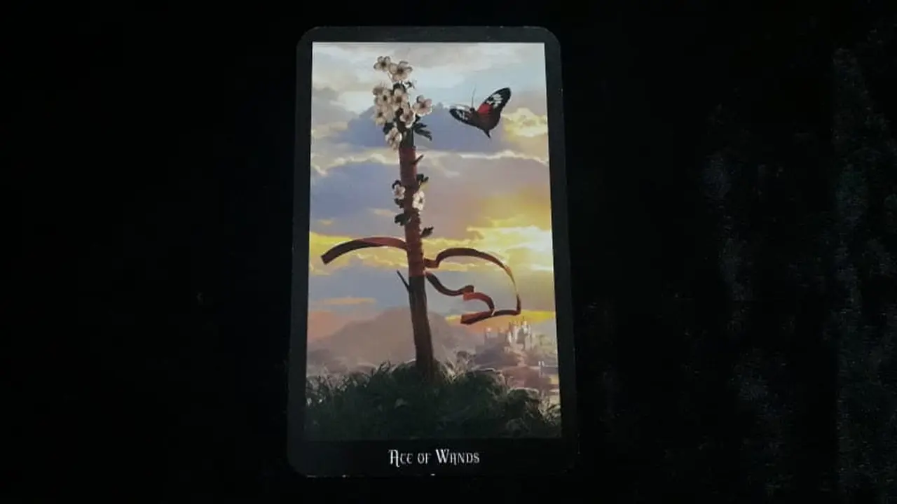 Tarot