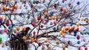 Seekor burung di antara 10.000 telur paskah warna-warni menghiasi pohon robinia di kota Saalfeld, Jerman, Jumat (30/3). Pohon Paskah, merupakan tradisi lain yang berumur berabad-abad dan dibuat dari pohon atau semak kecil yang masih hidup. (AP/Jens Meyer)