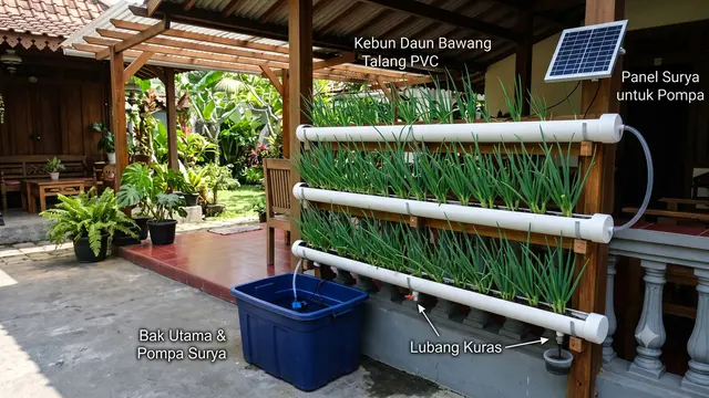 Model Teras dengan Daun Bawang dalam Talang PVC