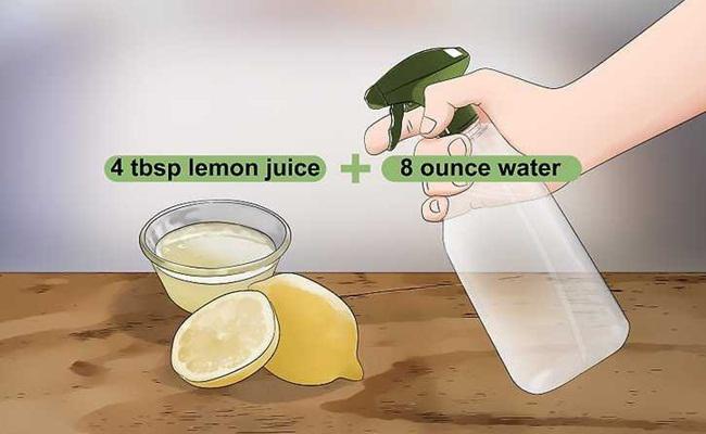 Campurkan cuka atau lemon dengan air/copyright wikihow.com