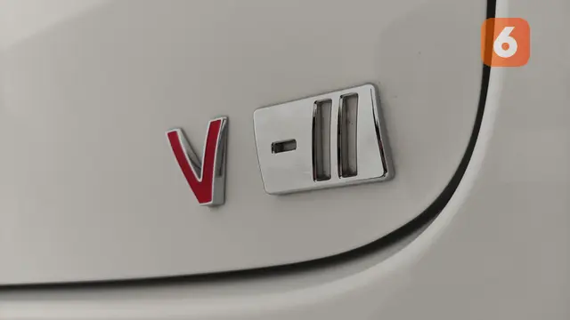 Neta V-II