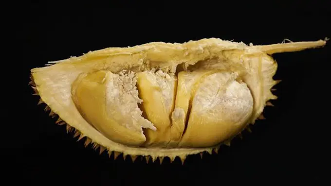 Copyright: pixabay.com/spencerwing