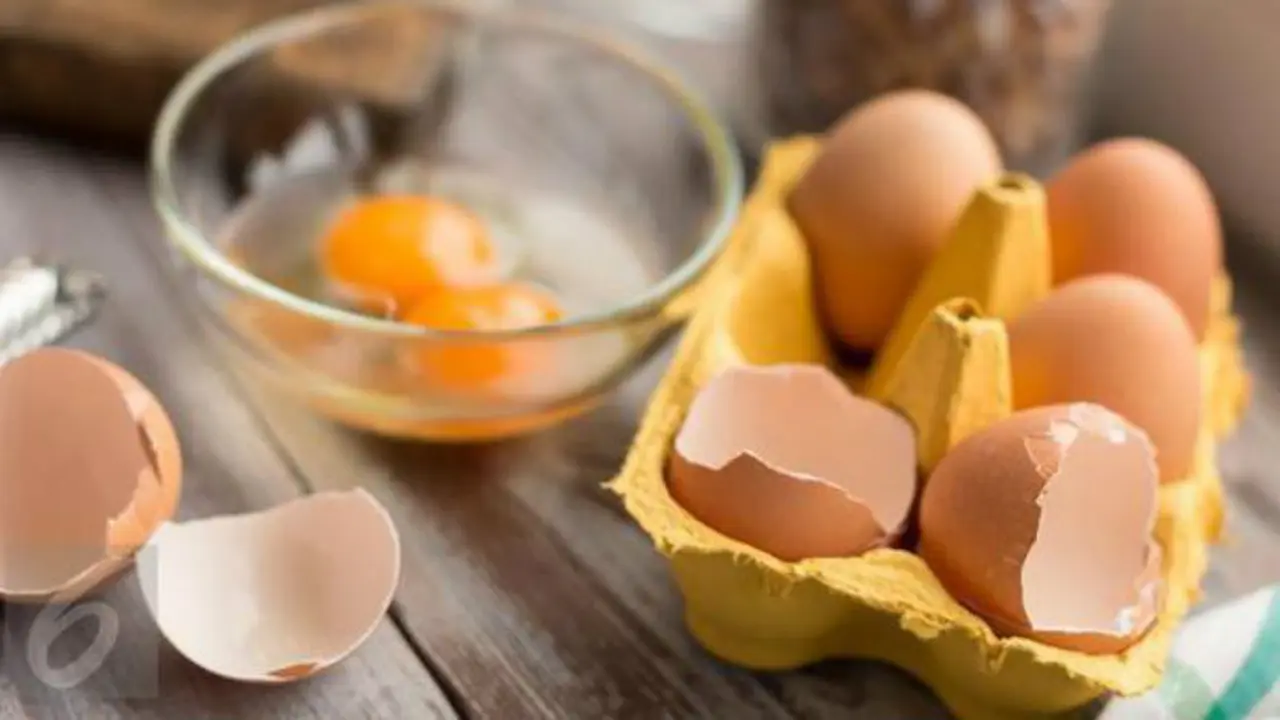 Telur