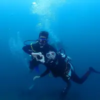 Putra Presiden Jokowi, Kaesang Pangarep kerap mencuri perhatian. Yang terbaru, Kaesang bersama sang istri, Erina Gudono diving di Situbondo Jawa Timur. Berikut beberapa potret romantis keduanya. [Instagram/kaesangp]