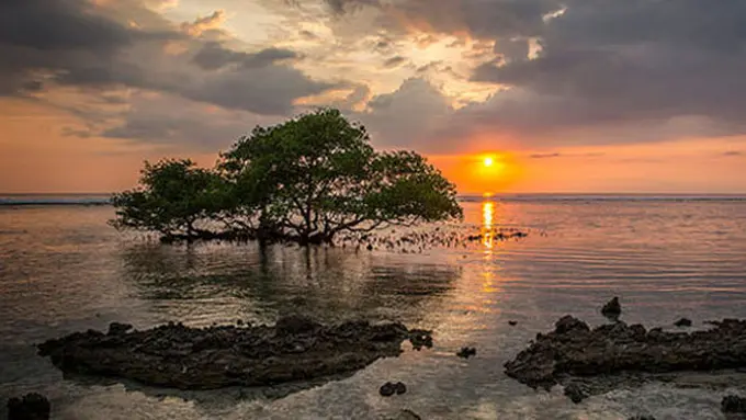 ©flickr.com/jeppeschilder