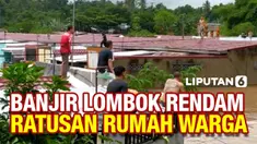 vertical lombok