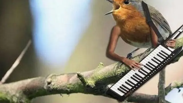 6 Editan Foto Burung dan Manusia Ini Enggak Habis Pikir, Absurd Maksimal