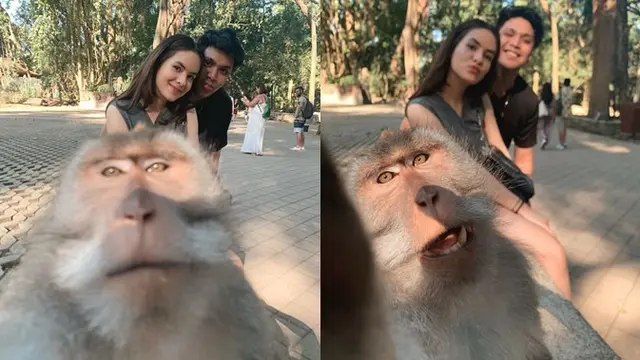 Steffi dan Philo Paz mengabadikan momen dan selfie dengan monyet