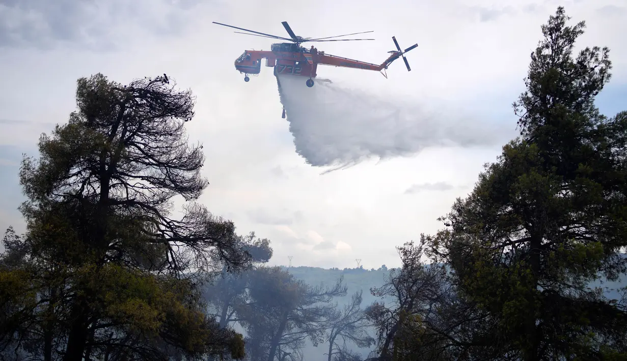 Helikopter menjatuhkan air di atas hutan selama kebakaran hutan di pinggiran kota Stamata, di utara Athena, Yunani, Senin, 4 September 2023. (AP Photo/Thanassis Stavrakis)