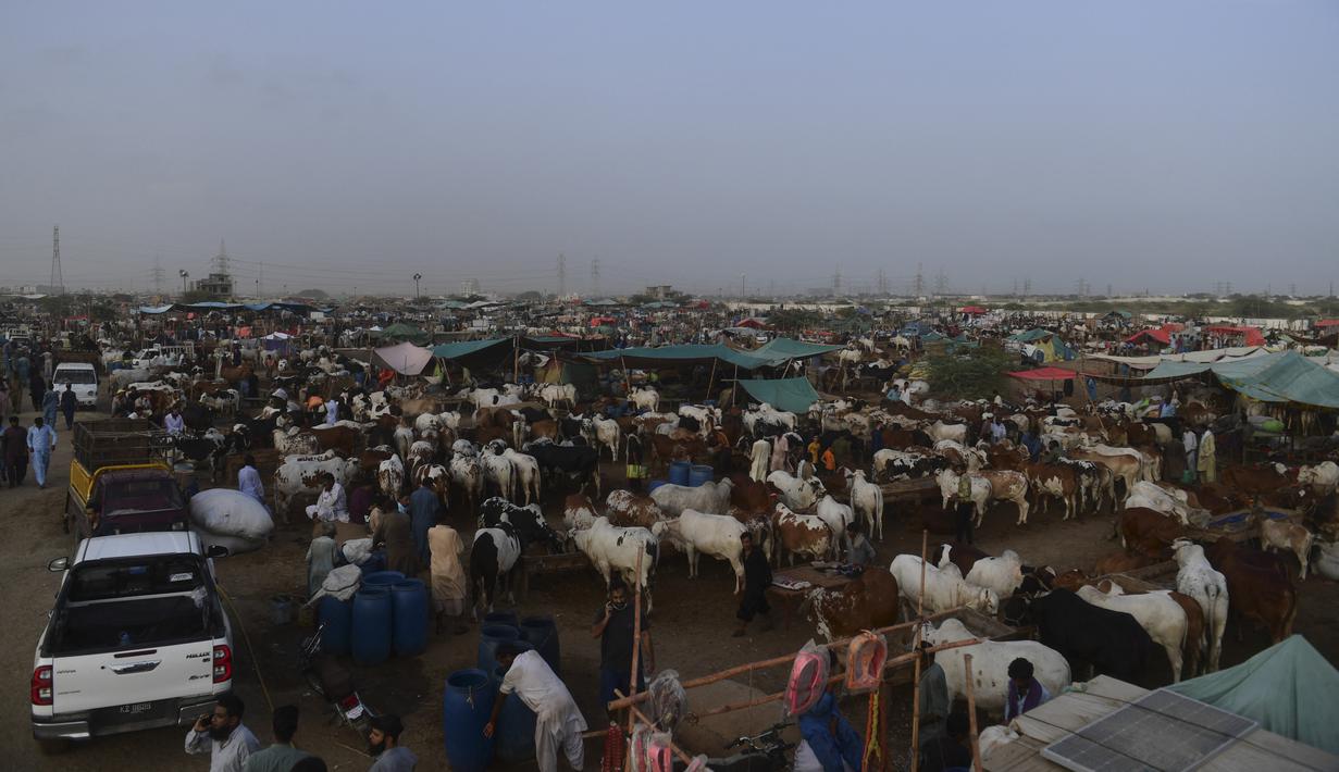 Orang-orang memadati pasar ternak menjelang perayaan Idul Adha di kota pelabuhan Karachi, Pakistan (1/7/2022). Idul Adha merupakan salah satu hari raya umat Islam di dunia yang identik dengan penyembelihan hewan kurban bagi yang mampu. (AFP/Asif Hassan)