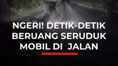 Rekaman dashcam memperlihatkan seekor beruang cokelat berulang kali menyerang sebuah mobil di Bifuka, Hokkaido, Jepang. Peristiwa terjadi setelah pengemudi bertemu dua beruang yang diduga induk dan anaknya saat melintas di jalan pegunungan pada 29 September malam.

Beruang yang lebih besar tiba-t...