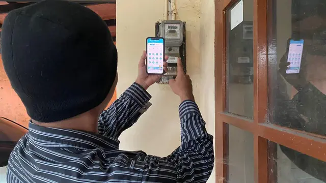 PLN